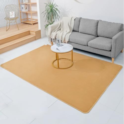 Jidanmian Heated Area Rug with Timer and Overheat Protection
