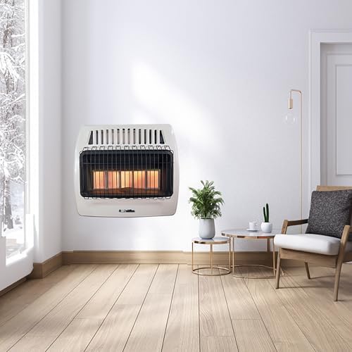 Comfort Glow 30000 BTU Natural Gas Heater Indoor Vent Free