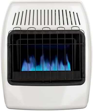 Dyna-Glo 20000 BTU Natural Gas Blue Flame Wall Heater