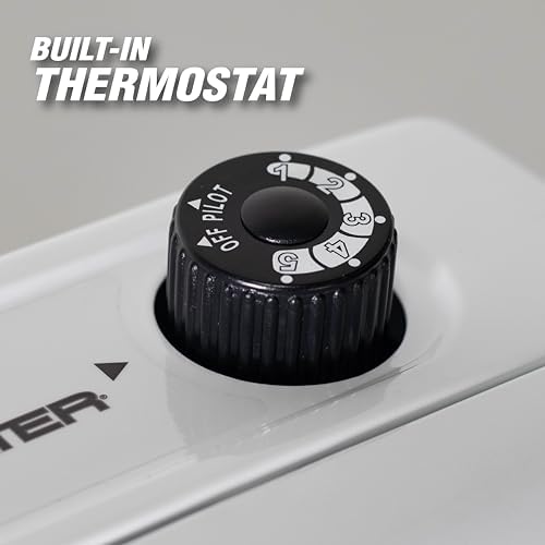 Mr Heater 20000 BTU Dual Fuel Wall Heater - White