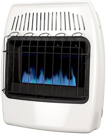 Dyna-Glo 20000 BTU Natural Gas Blue Flame Wall Heater