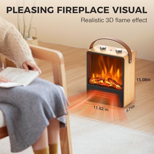 Riseon Electric Fireplace Heater with 3D LED Flame