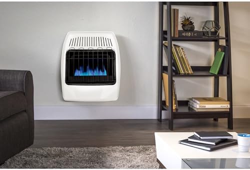 Dyna-Glo 20000 BTU Natural Gas Blue Flame Wall Heater