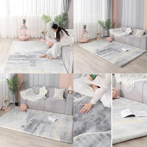 Modern Machine Washable Heated Area Rug with Timer