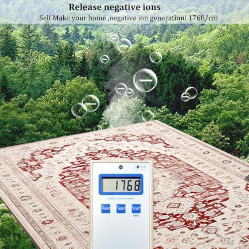 Jidanmian Graphene Heated Rug with 12-Hour Timer