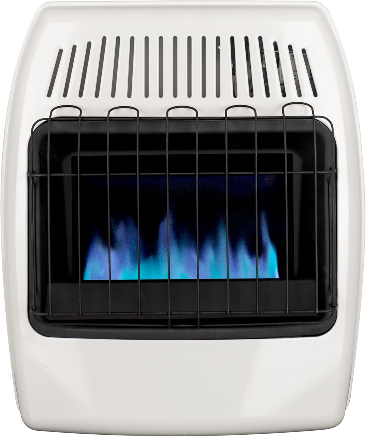 Dyna-Glo 20000 BTU Natural Gas Blue Flame Wall Heater