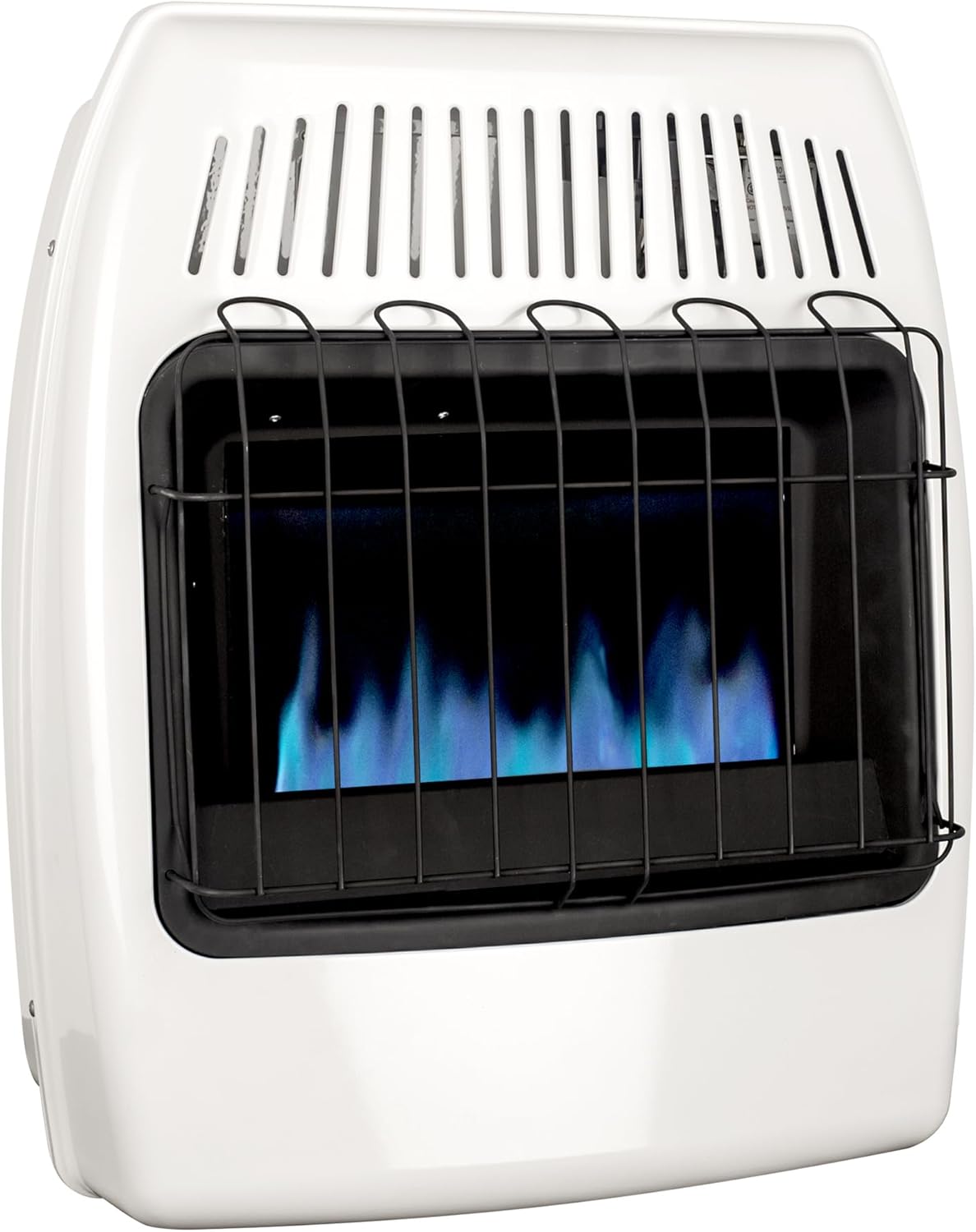 Dyna-Glo 20000 BTU Natural Gas Blue Flame Wall Heater