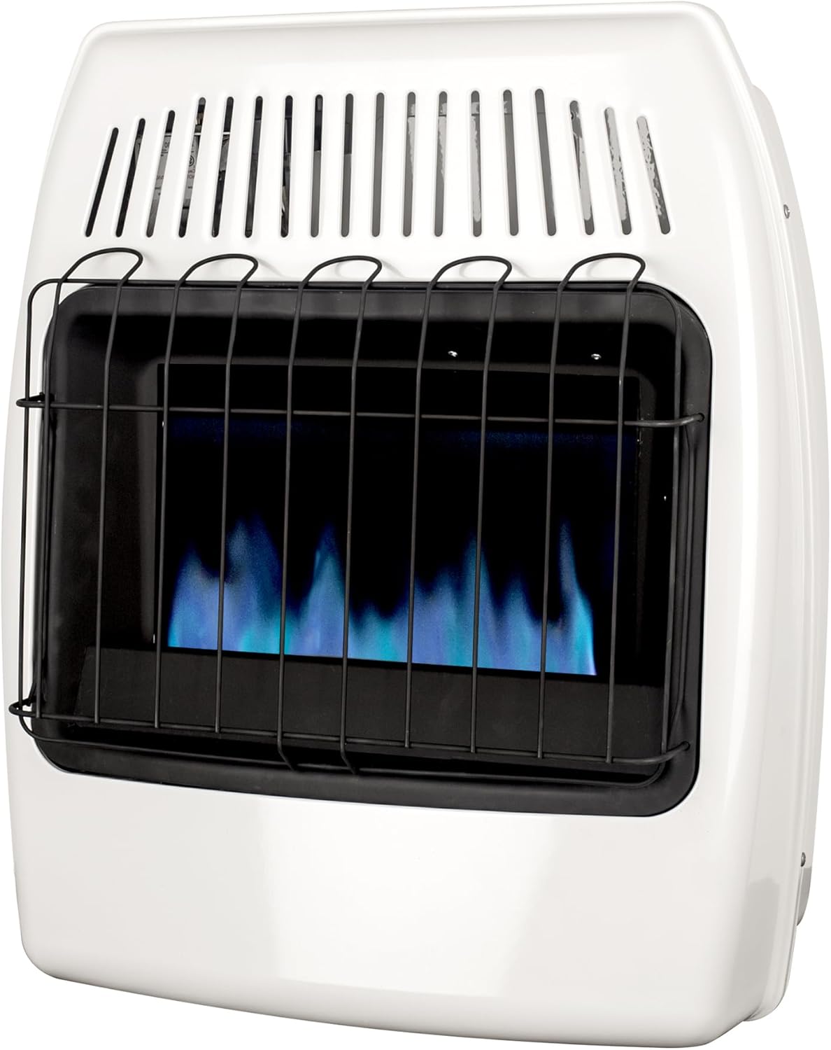 Dyna-Glo 20000 BTU Natural Gas Blue Flame Wall Heater