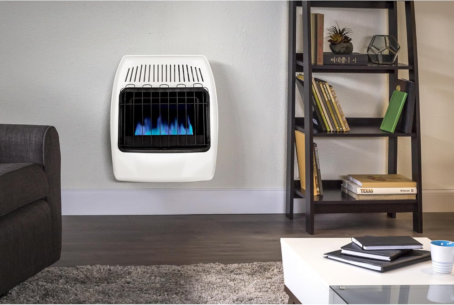 Dyna-Glo 20000 BTU Natural Gas Blue Flame Wall Heater